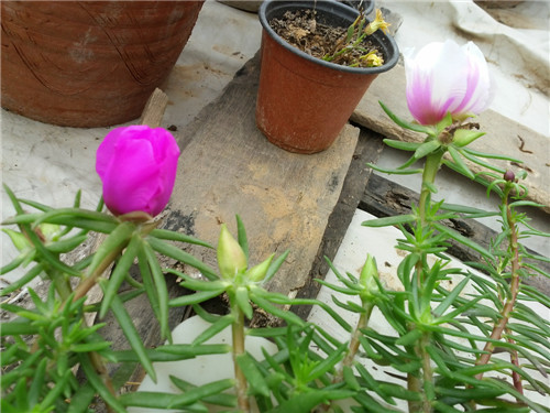 20140604_124920.jpg