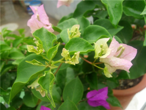 20140613_121125.jpg