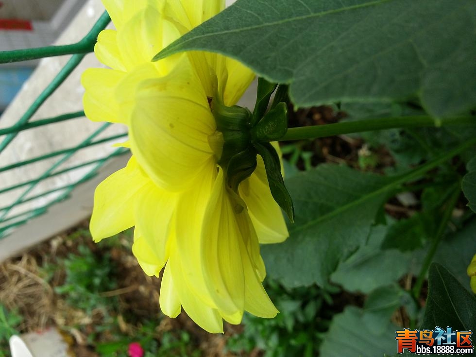 20140601_083937.jpg
