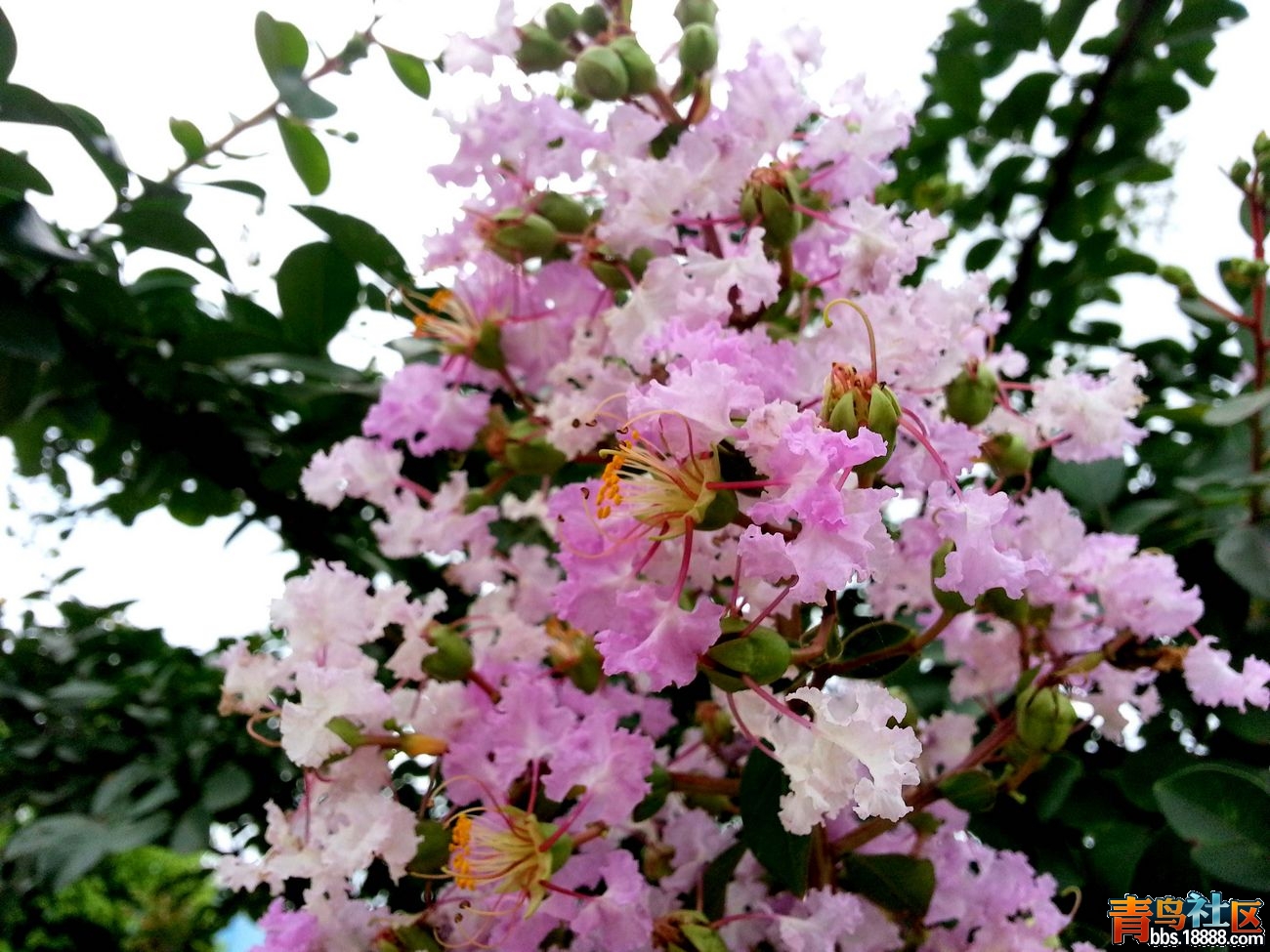 20140629_125605.jpg