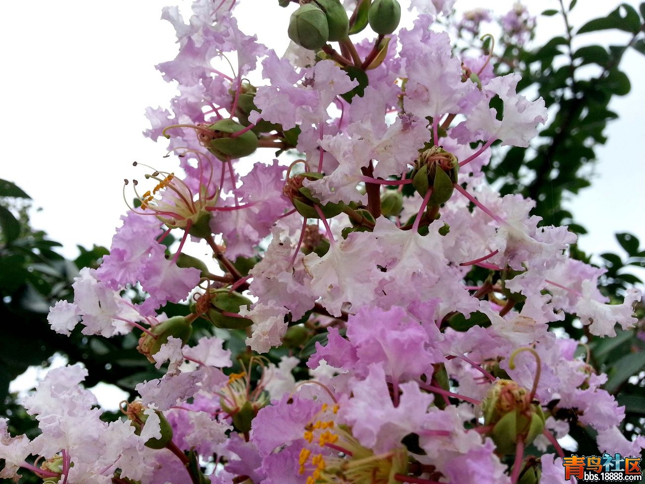 20140629_125601.jpg