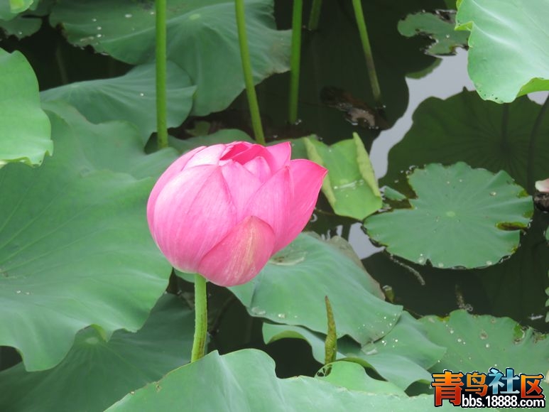 IMG_0149_副本.jpg