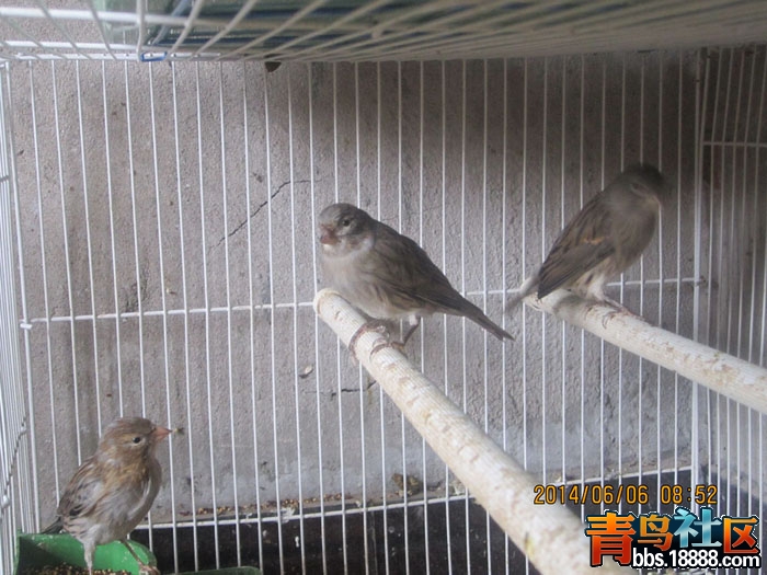 照片 027.jpg