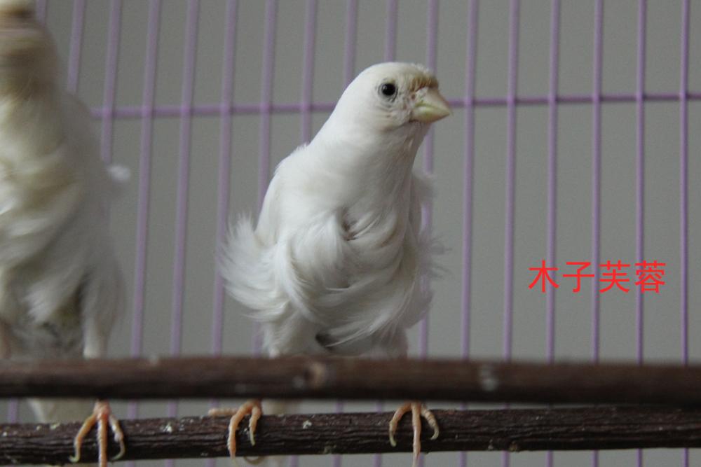 IMG_6019副本.jpg