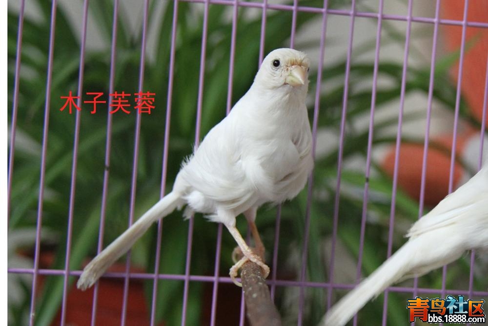 IMG_6010副本.jpg