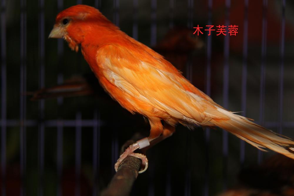 IMG_6188副本.jpg