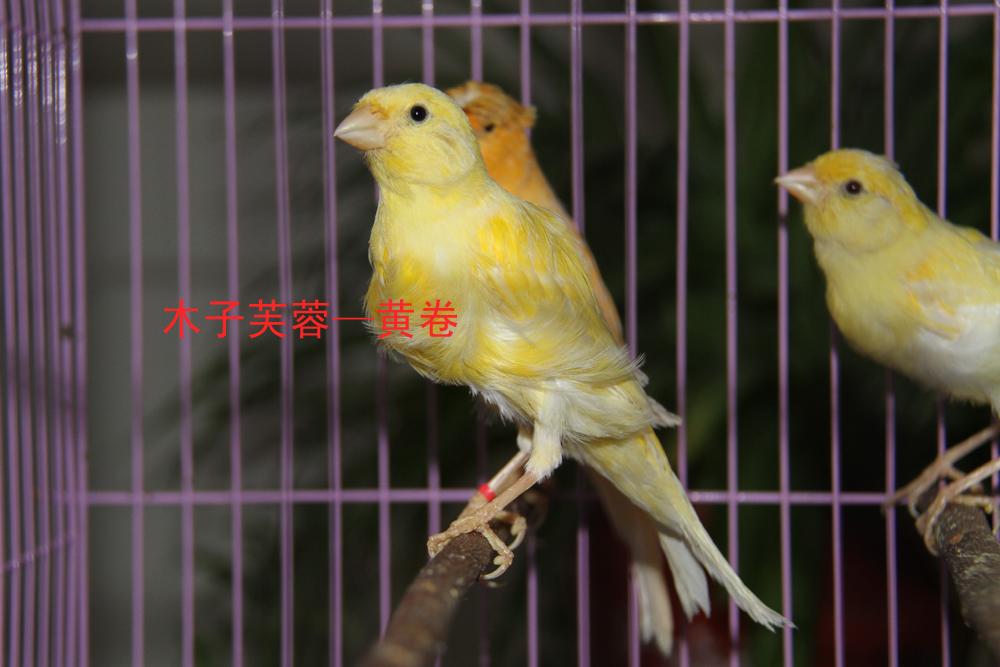 IMG_6034副本.jpg