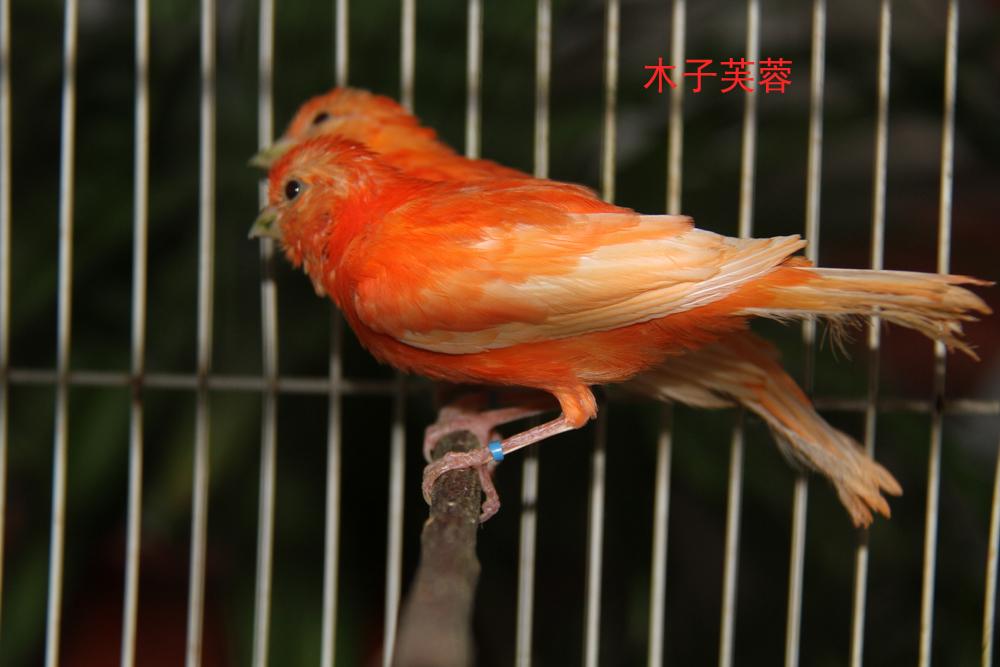 IMG_6179副本.jpg