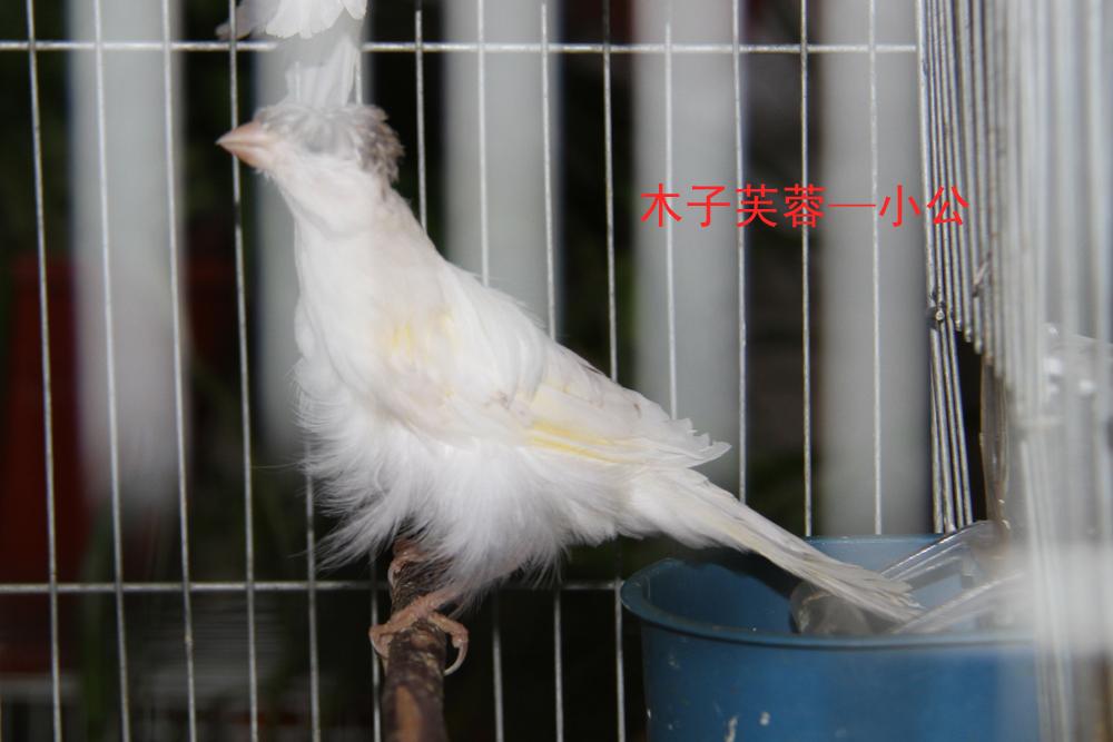IMG_6149副本.jpg