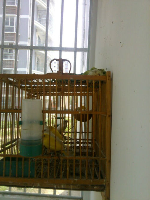 psb (2).jpg