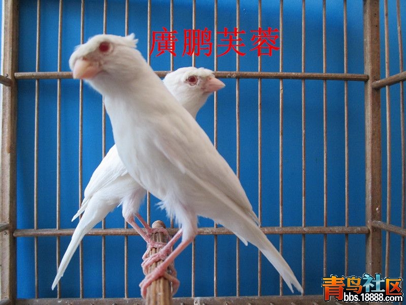 IMG_0236_副本_副本.jpg