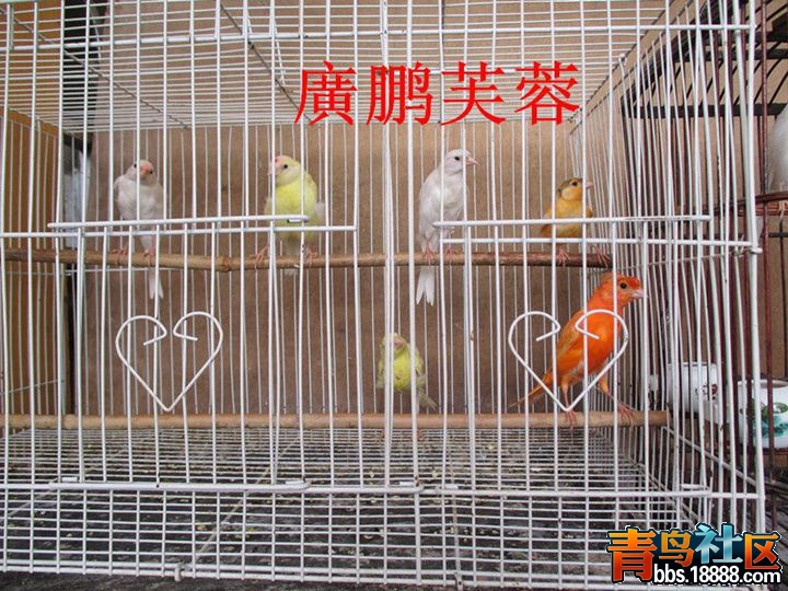 IMG_0382_副本_副本_副本_副本.jpg