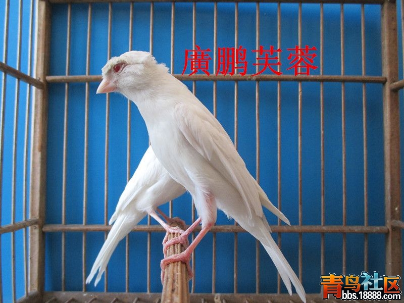 IMG_0261_副本_副本.jpg