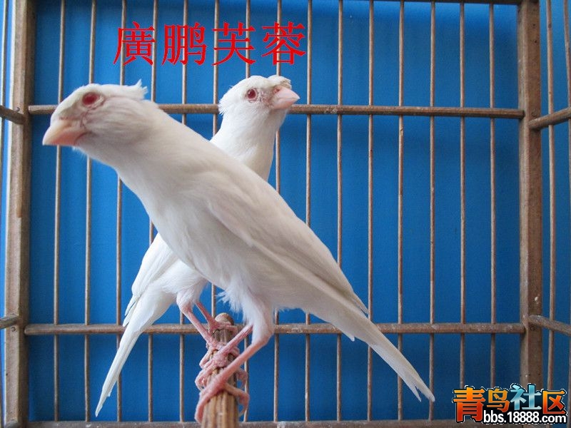 IMG_0244_副本_副本.jpg