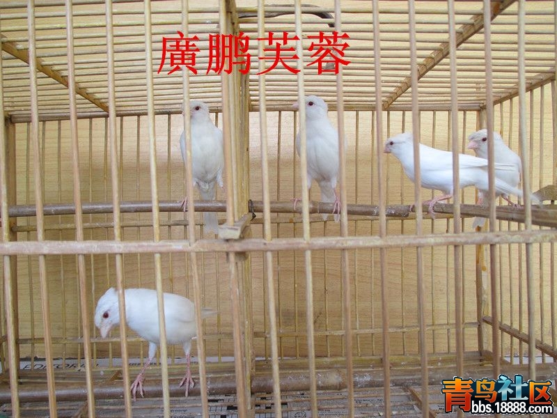 IMG_0267_副本_副本.jpg