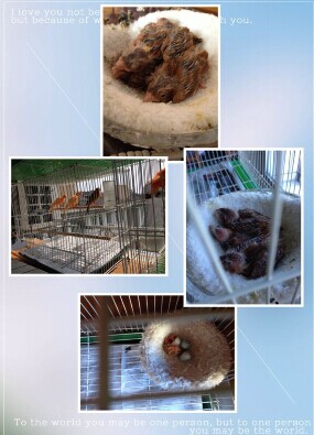 QQ图片20140604081021.jpg