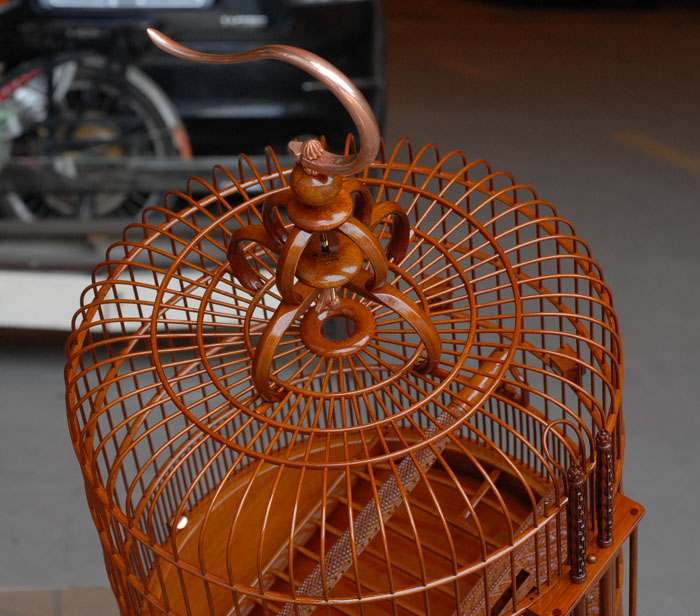 DSC_0064.JPG