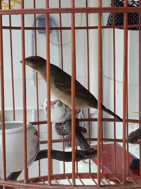 20140531_175400.jpg