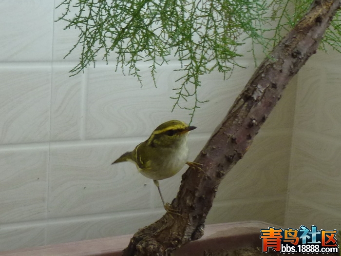 P1070178_调整大小.jpg