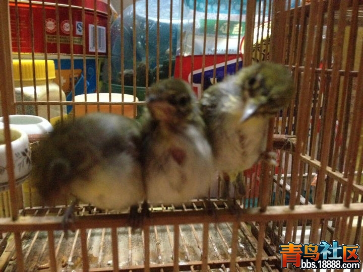 QQ图片20140606211129.jpg