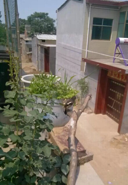 QQ图片20140608151807.jpg