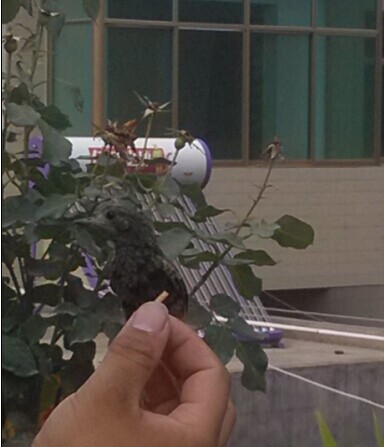 QQ图片20140628195728.jpg