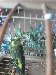 IMG0072A.jpg