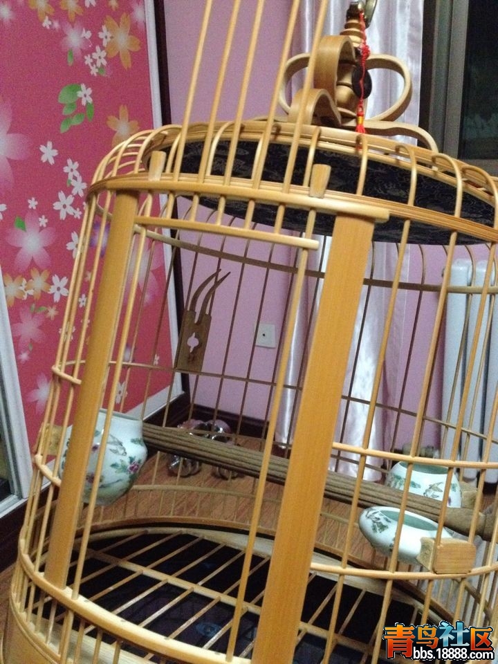 QQ图片20140624212502.jpg