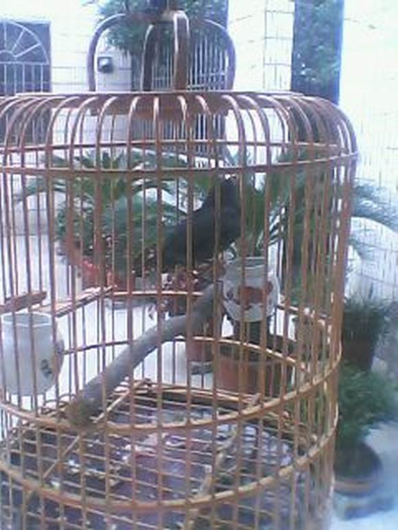 IMG0264A.jpg