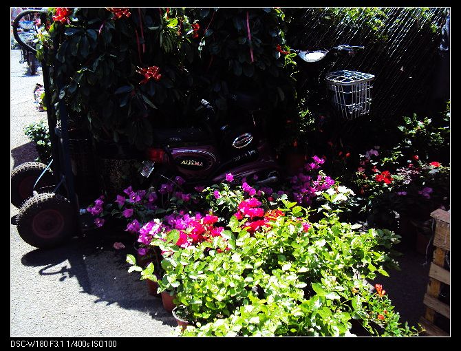nEO_IMG_DSC03288.jpg