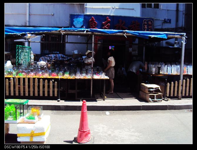 nEO_IMG_DSC03284.jpg