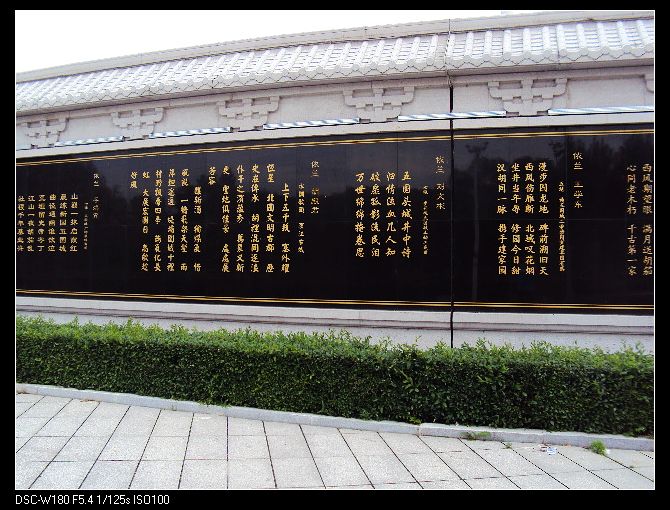 nEO_IMG_DSC03017.jpg