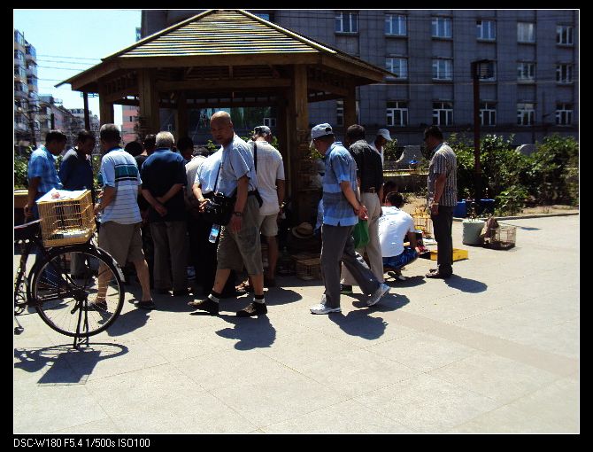 nEO_IMG_DSC03232.jpg