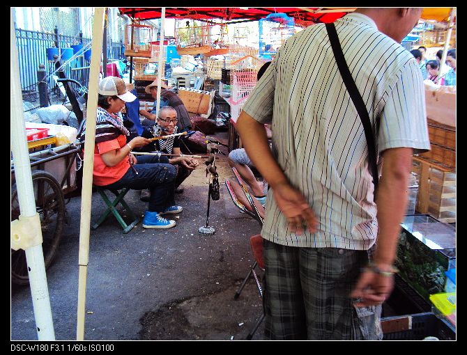 nEO_IMG_DSC03259.jpg
