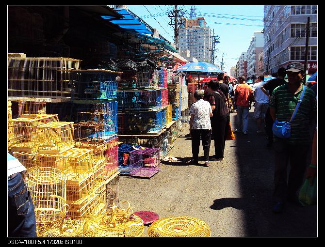 nEO_IMG_DSC03214.jpg
