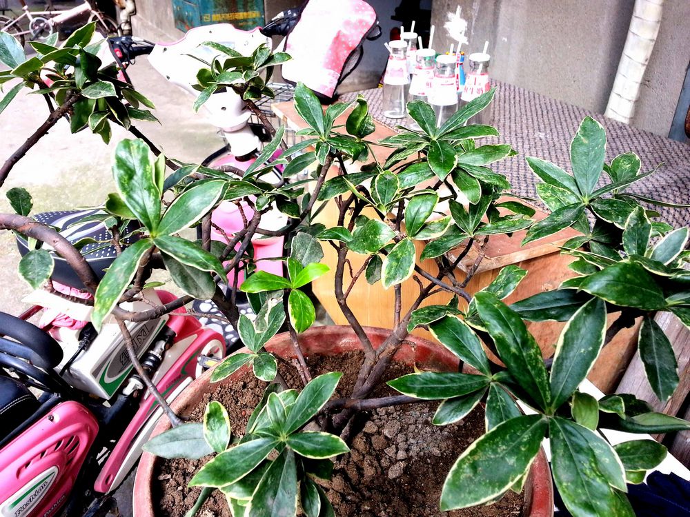 20140625_161011.jpg