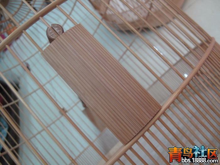 IMG_7872_调整大小.JPG
