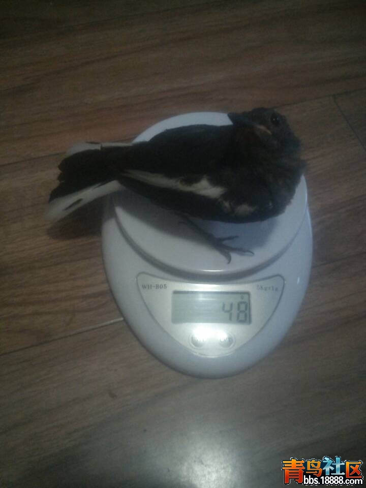 QQ图片20140610183225.jpg