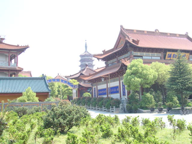 DSC04404.JPG