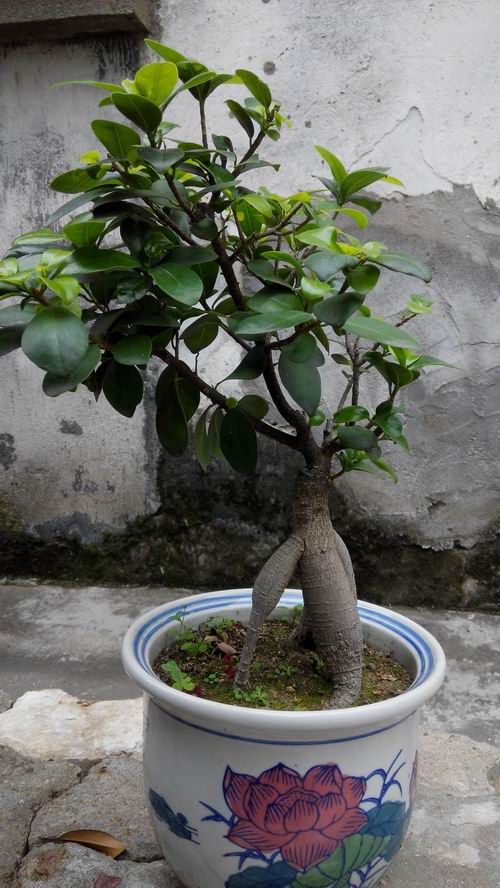 照片 211.jpg