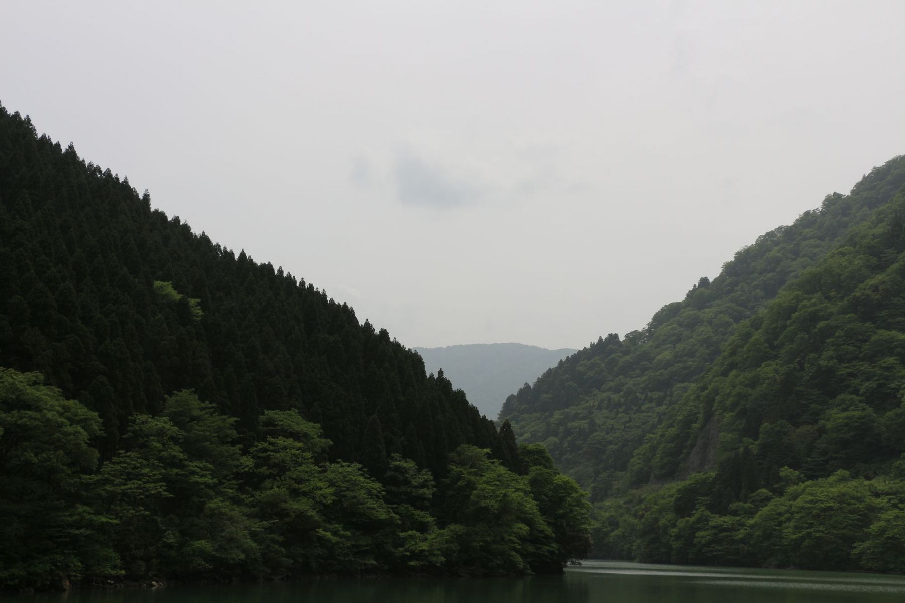 359.JPG