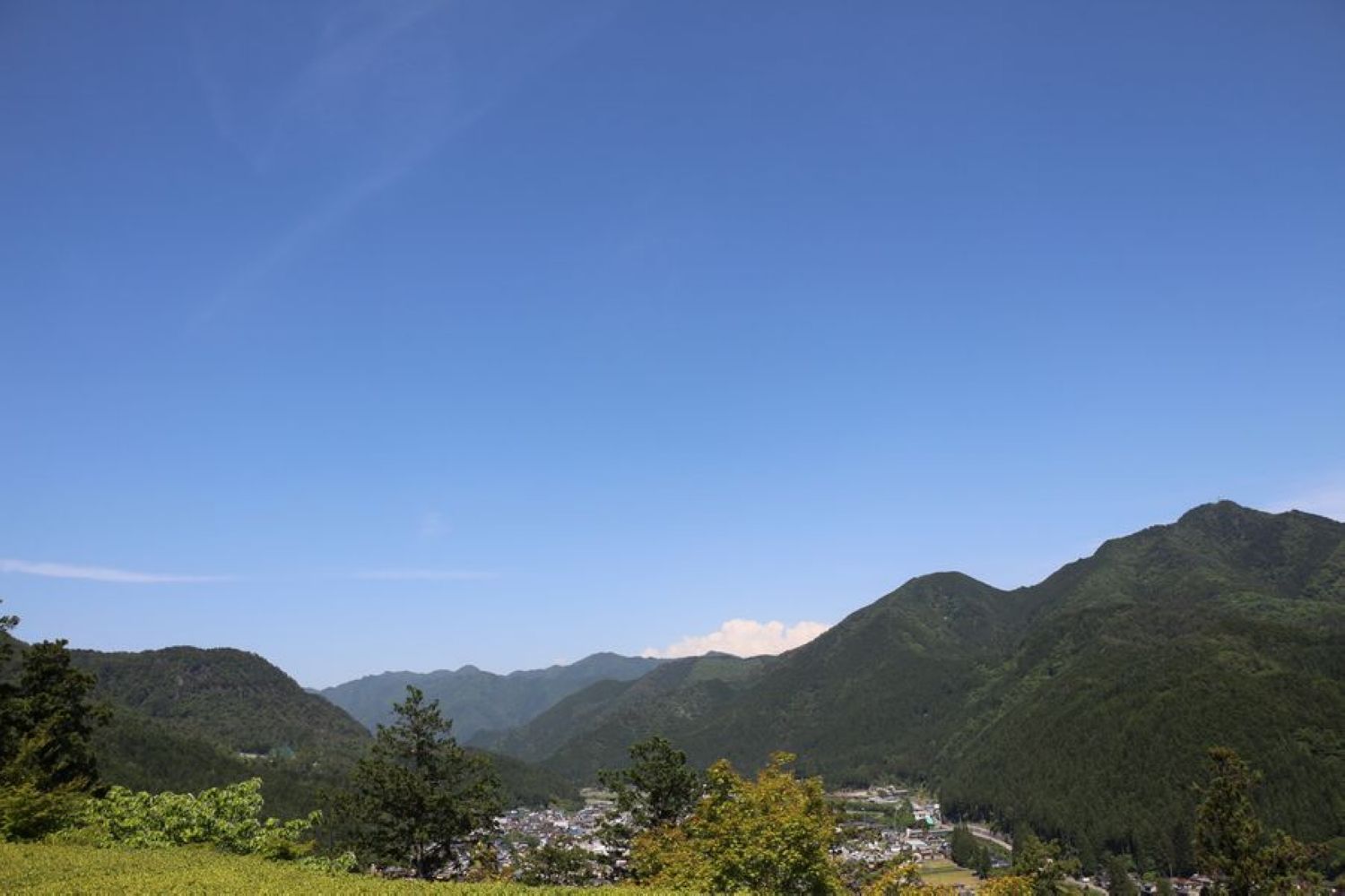 516.JPG