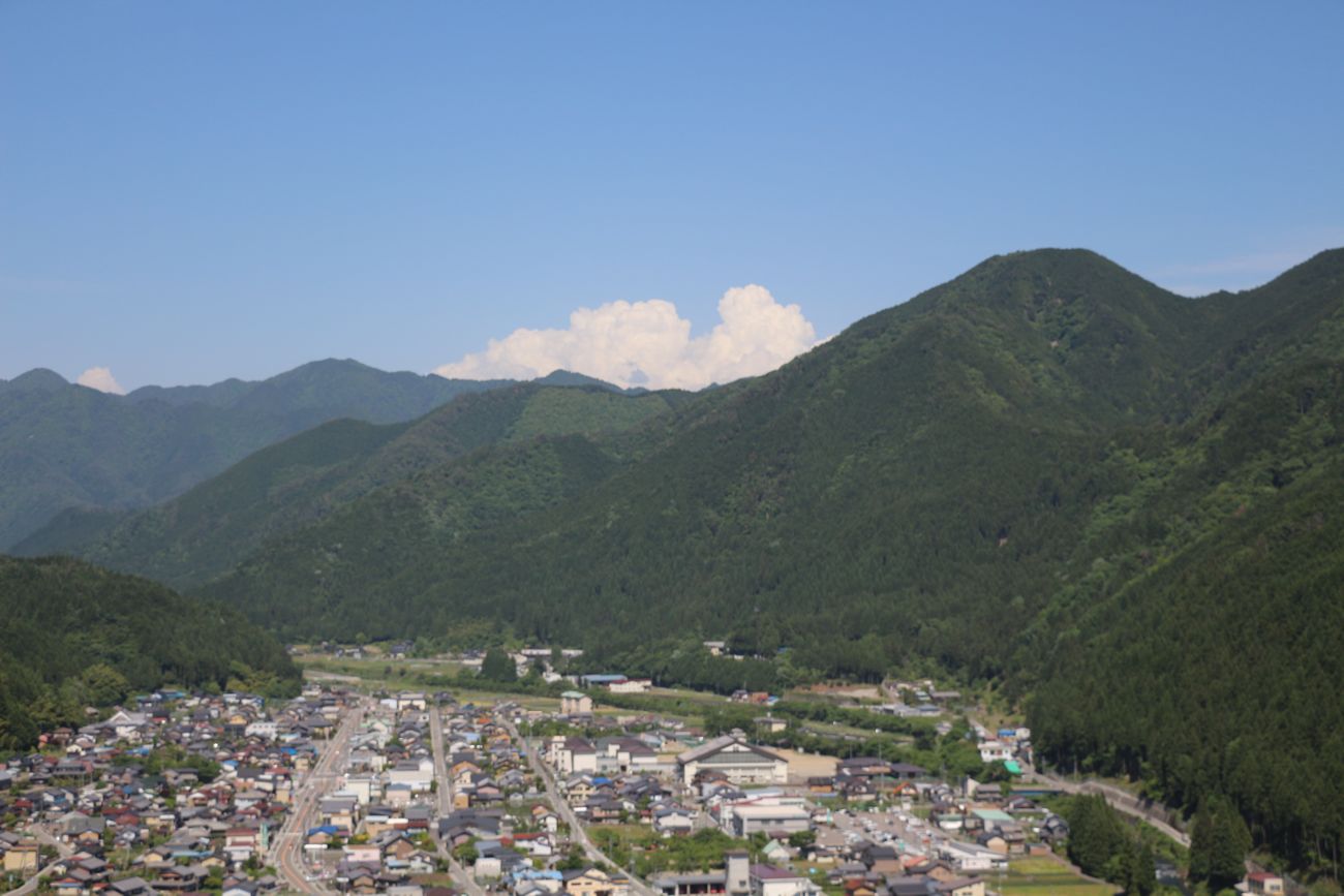535.JPG
