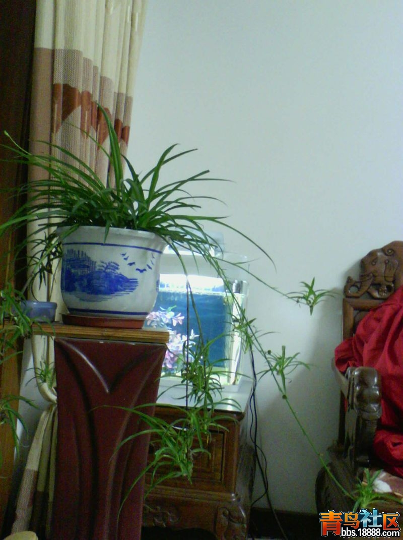 IMG_20140608_205619_副本.jpg