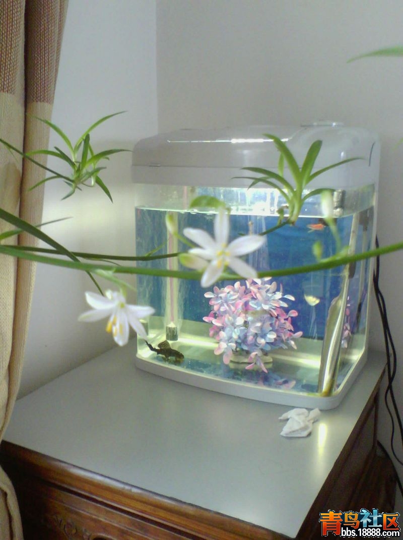 IMG_20140416_102144_副本.jpg