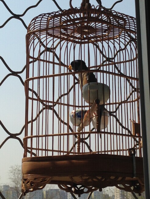 QQ图片20140612174615.jpg