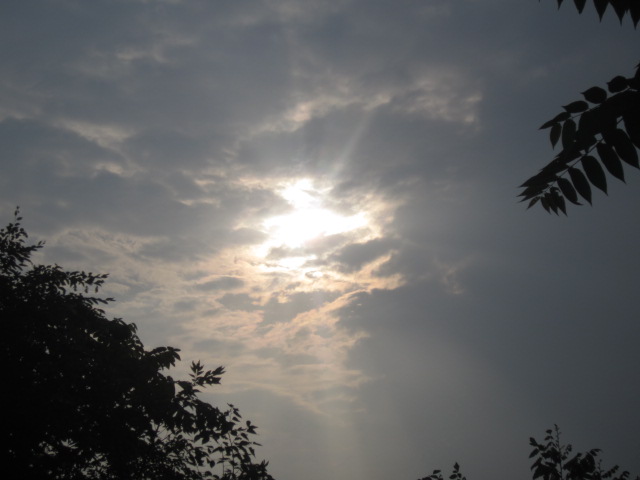 95.JPG