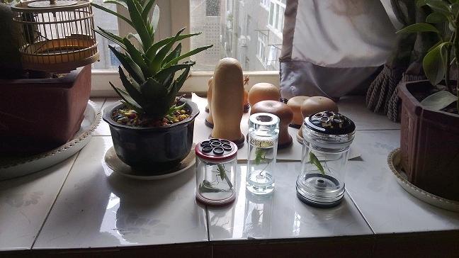 WP_20140603_006.jpg