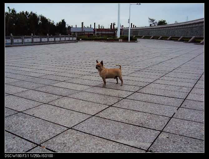 nEO_IMG_DSC02857.jpg