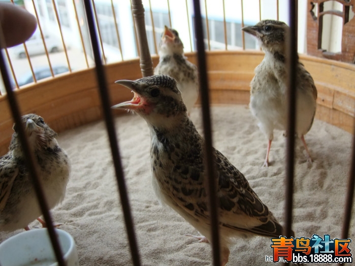 照片 058.jpg